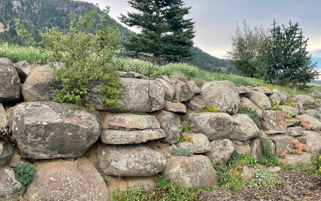 Pipestone Granite Boulders