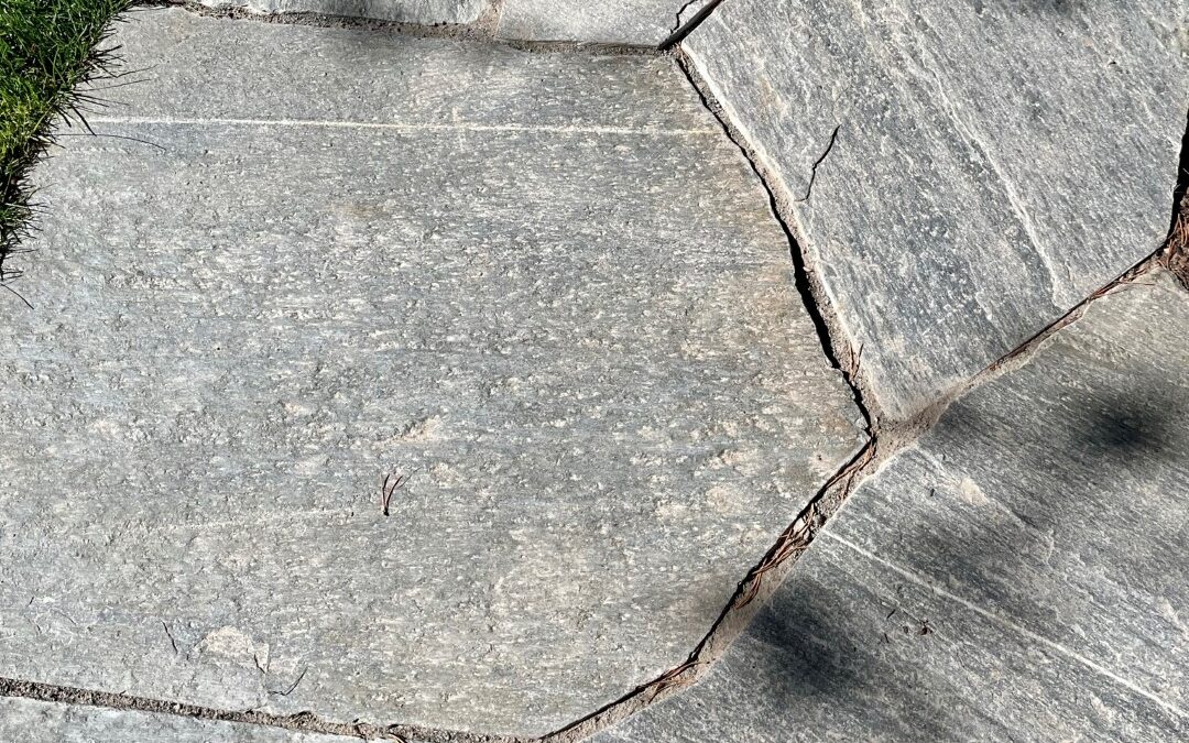 Quartzite flagstone 9011