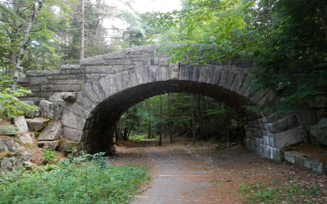 Bubble Pond Bridge 16162