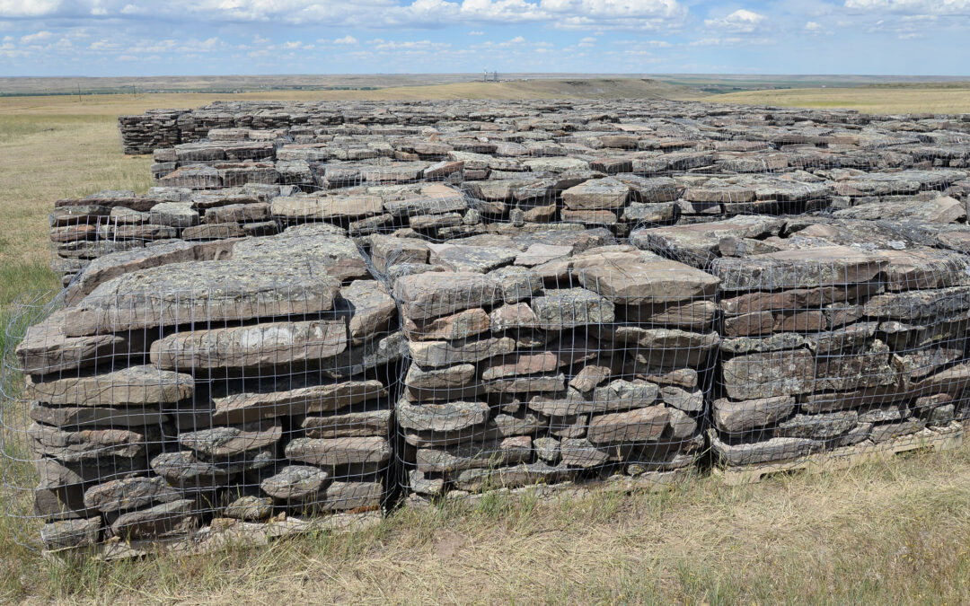 Buffalo Jump 3 to 6 9015