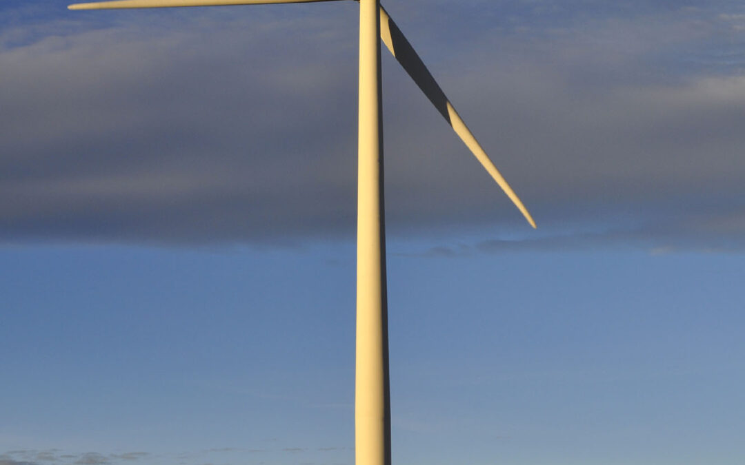 Harlo Wind Turbines 15524