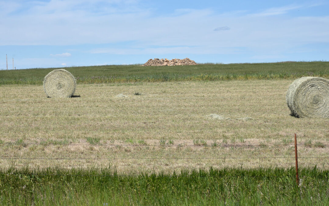 Piles of Homestead Fieldstone are the remains of decades of clearing from the fields.