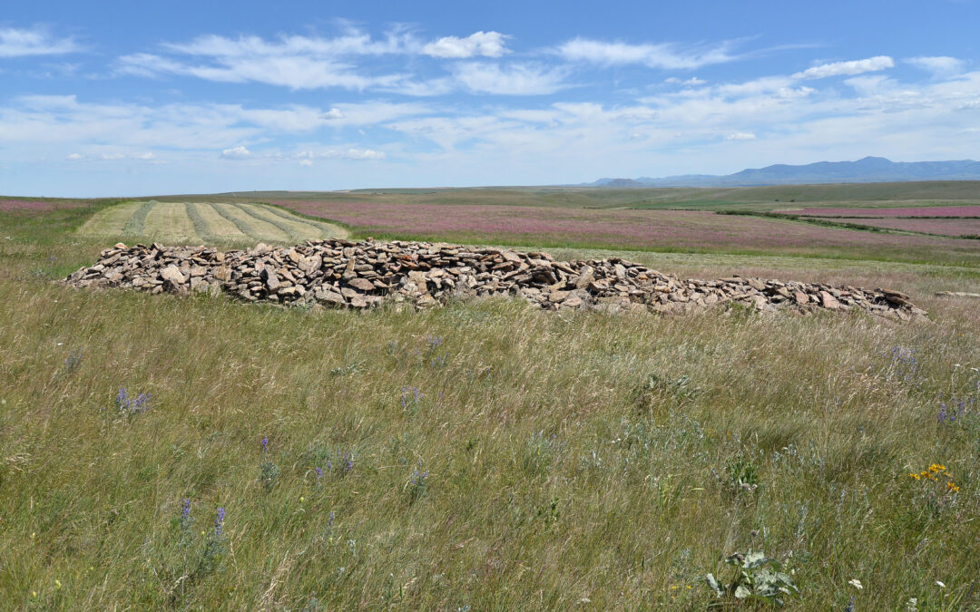 Piles of Homestead Fieldstone are the remains of decades of clearing from the fields.