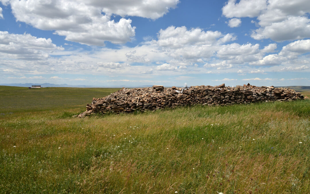 Piles of Homestead Fieldstone are the remains of decades of clearing from the fields.