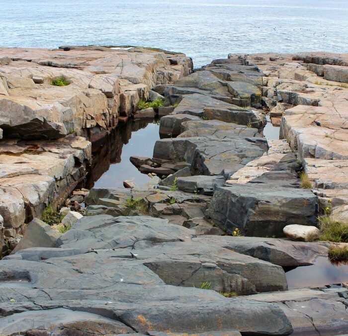 Schoodic Peninsula 1698