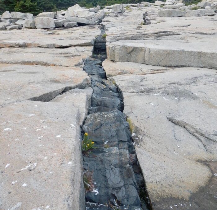 Schoodic Peninsula 1699