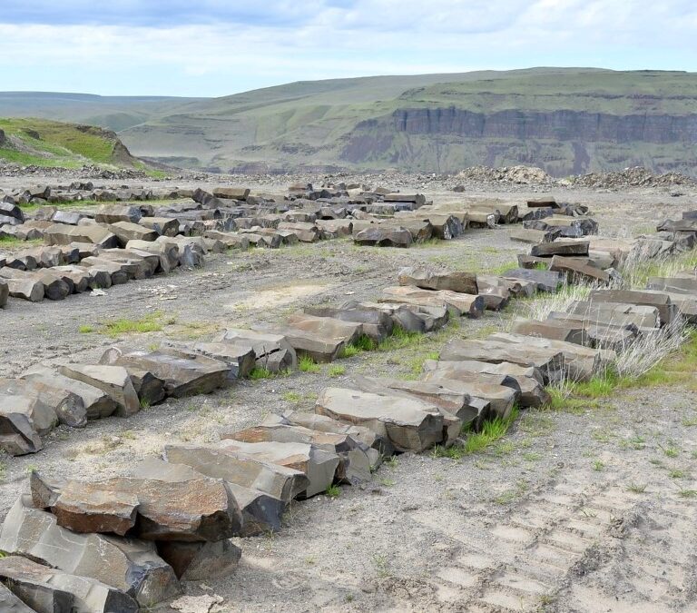 Columbia Plateau basalts 8411